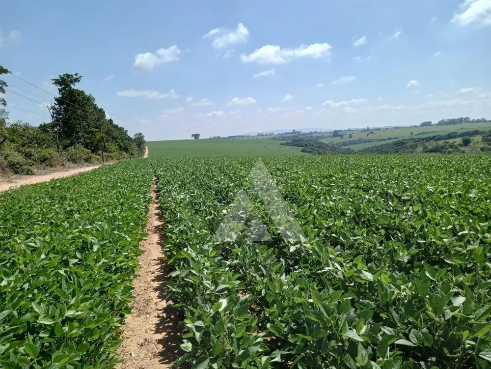 Terreno, 339 hectares - Foto 1