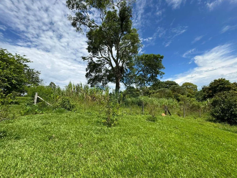 Sítio, 4 quartos, 19 hectares - Foto 11
