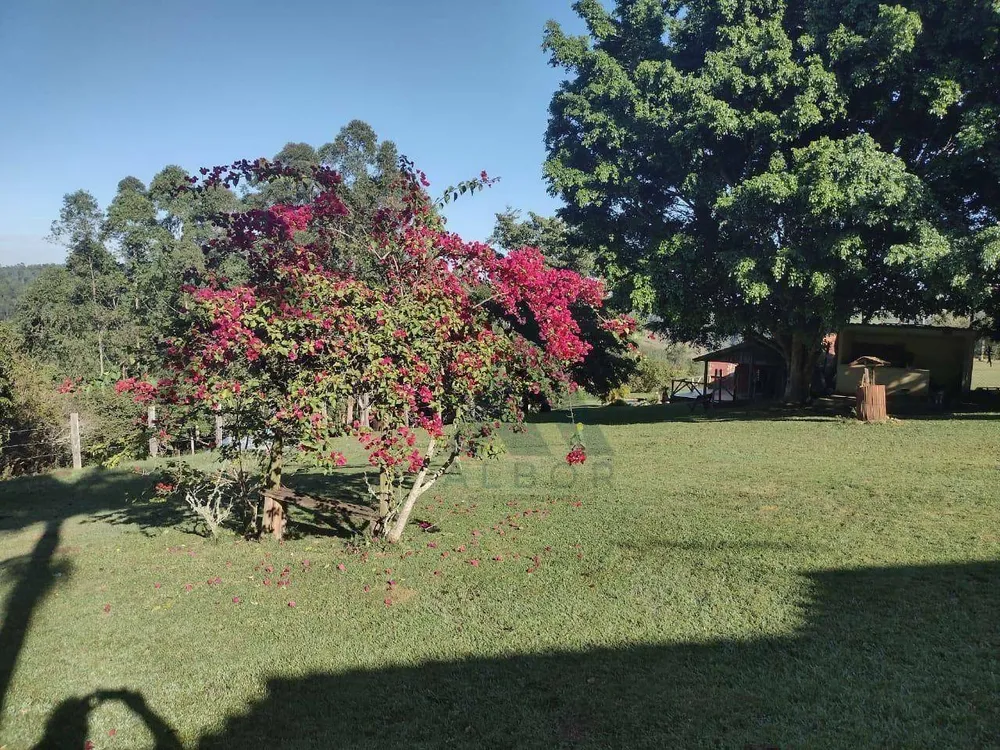 Chácara, 3 quartos, 2 hectares - Foto 6