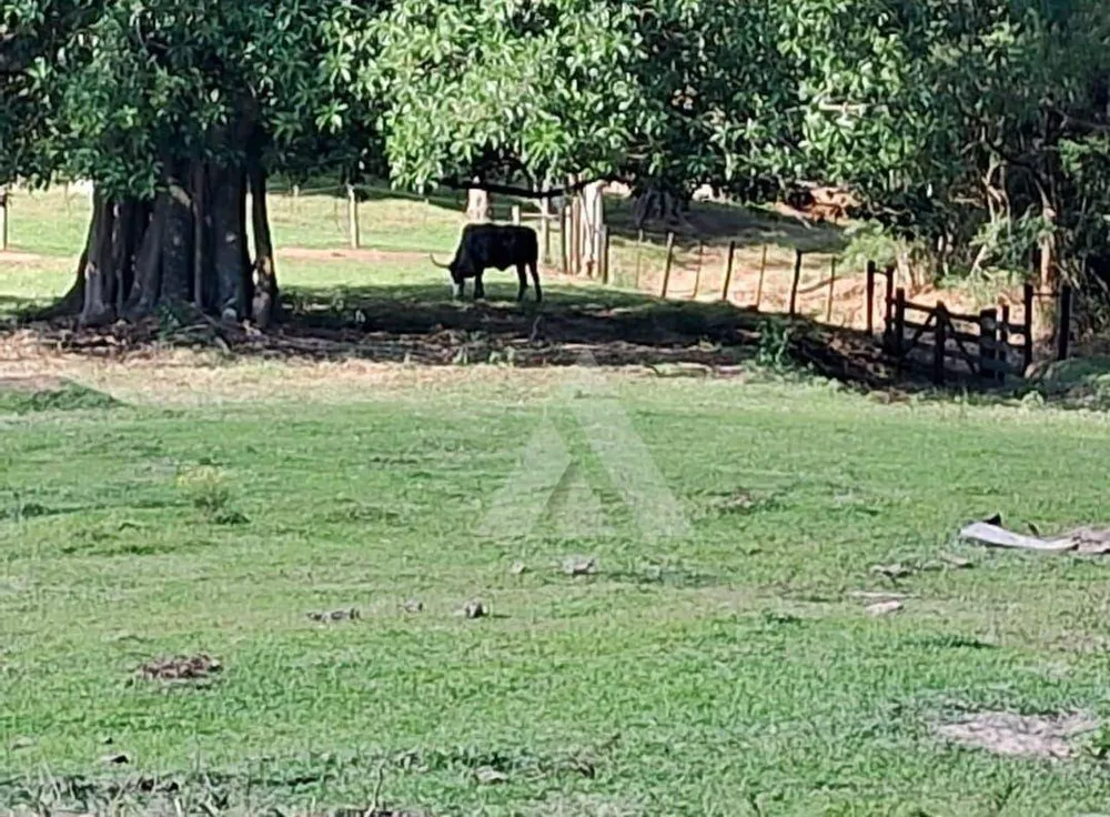 Chácara, 3 quartos, 2 hectares - Foto 6