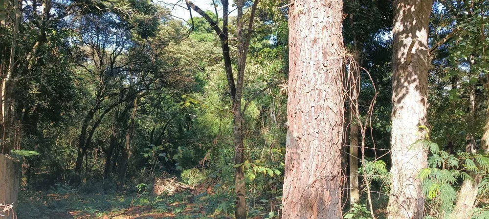 Terreno, 2080 m² - Foto 1