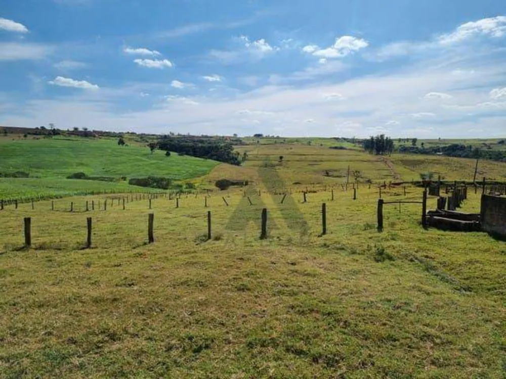 Sítio, 5 quartos, 31 hectares - Foto 6