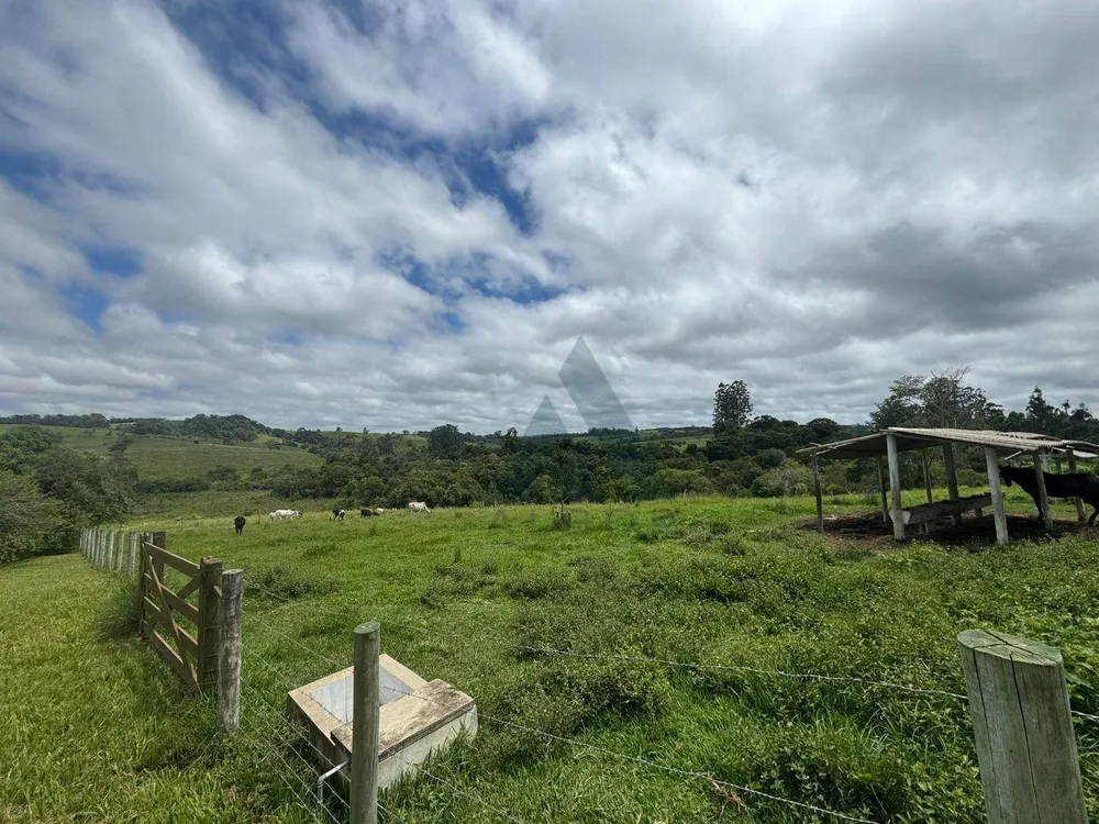 Sítio, 3 quartos, 20 hectares - Foto 1