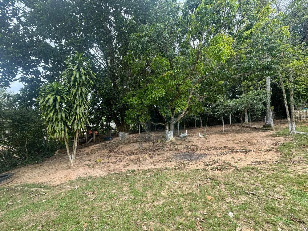 Sítio, 3 quartos, 20 hectares - Foto 9