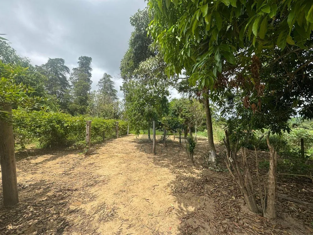 Sítio, 3 quartos, 20 hectares - Foto 12