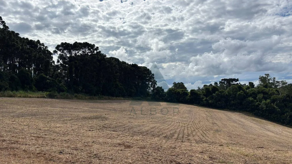 Terreno, 17 hectares - Foto 3