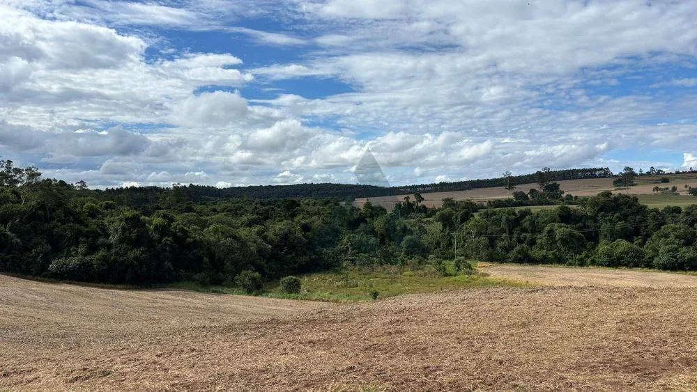 Terreno, 17 hectares - Foto 4