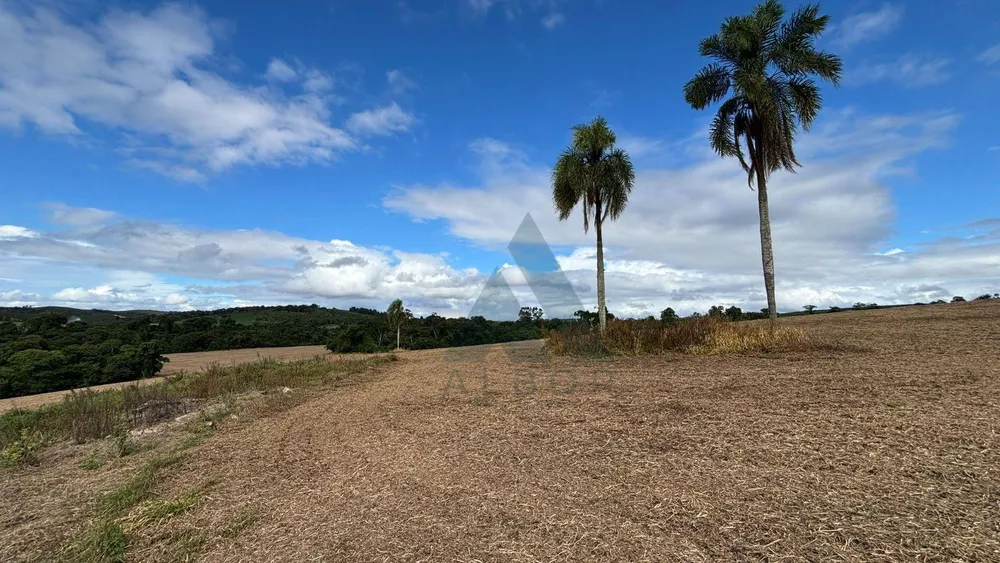 Terreno, 17 hectares - Foto 8