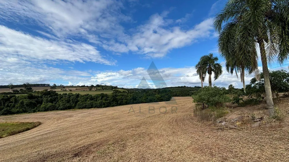 Terreno, 17 hectares - Foto 6