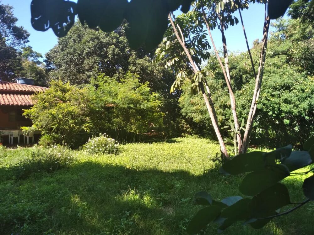 Chácara, 4 quartos, 5000 m² - Foto 2