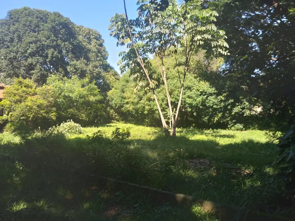 Chácara, 4 quartos, 5000 m² - Foto 3