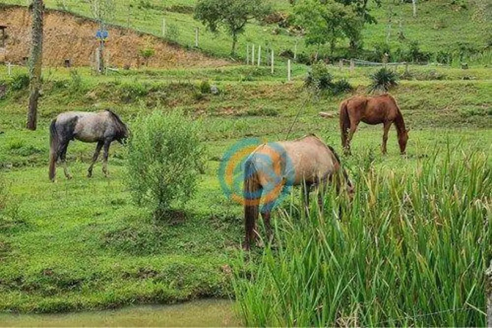 Chácara, 2 hectares - Foto 7