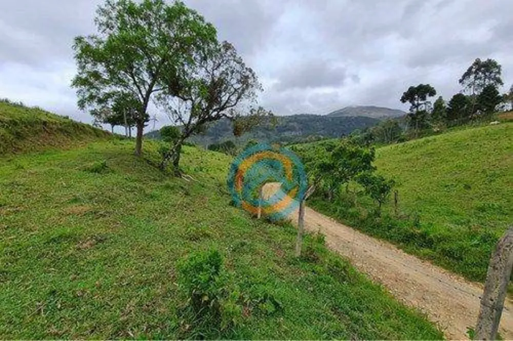 Chácara, 2 hectares - Foto 8