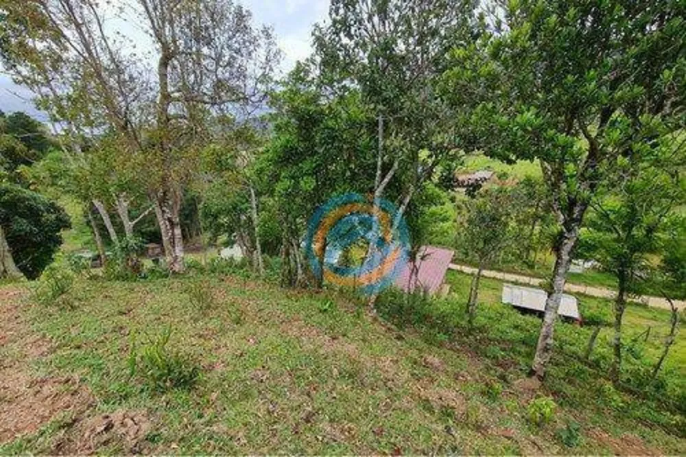 Chácara, 2 hectares - Foto 4