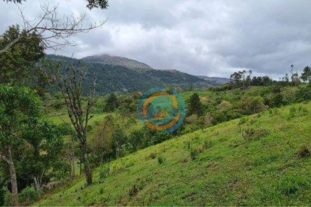 Chácara, 2 hectares - Foto 6