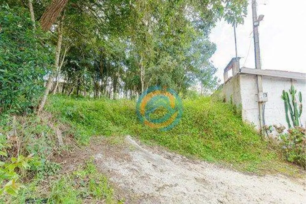 Terreno, 2241 m² - Foto 3