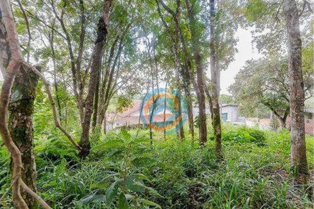Terreno, 2241 m² - Foto 9