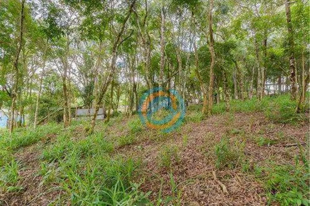 Terreno, 2241 m² - Foto 10