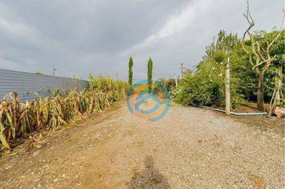 Chácara, 3 quartos, 9000 m² - Foto 16