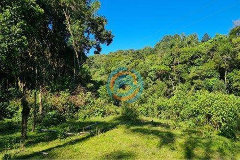 Sítio, 2 quartos, 5 hectares - Foto 2
