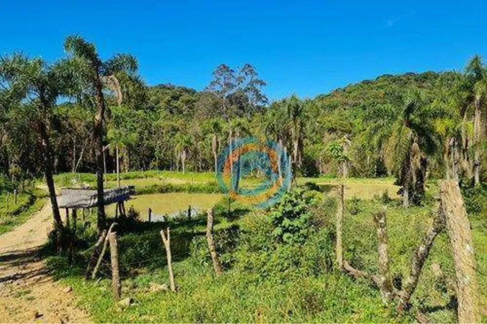 Chácara, 2 quartos, 5 hectares - Foto 4