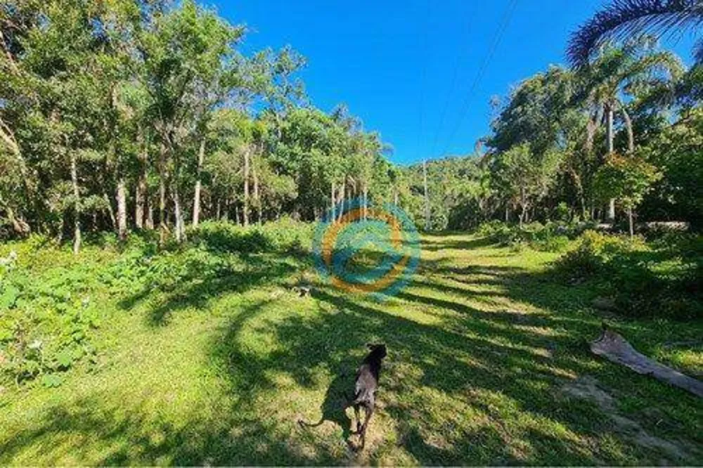 Chácara, 2 quartos, 5 hectares - Foto 1