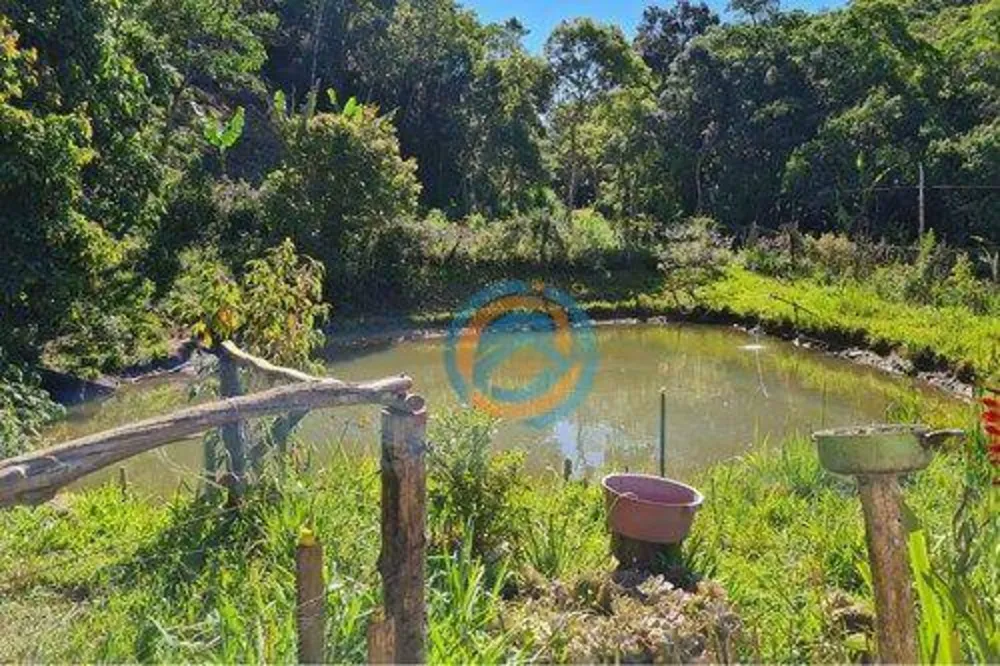 Sítio, 2 quartos, 5 hectares - Foto 11