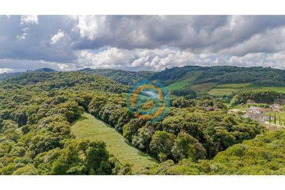 Terreno, 5 hectares - Foto 9
