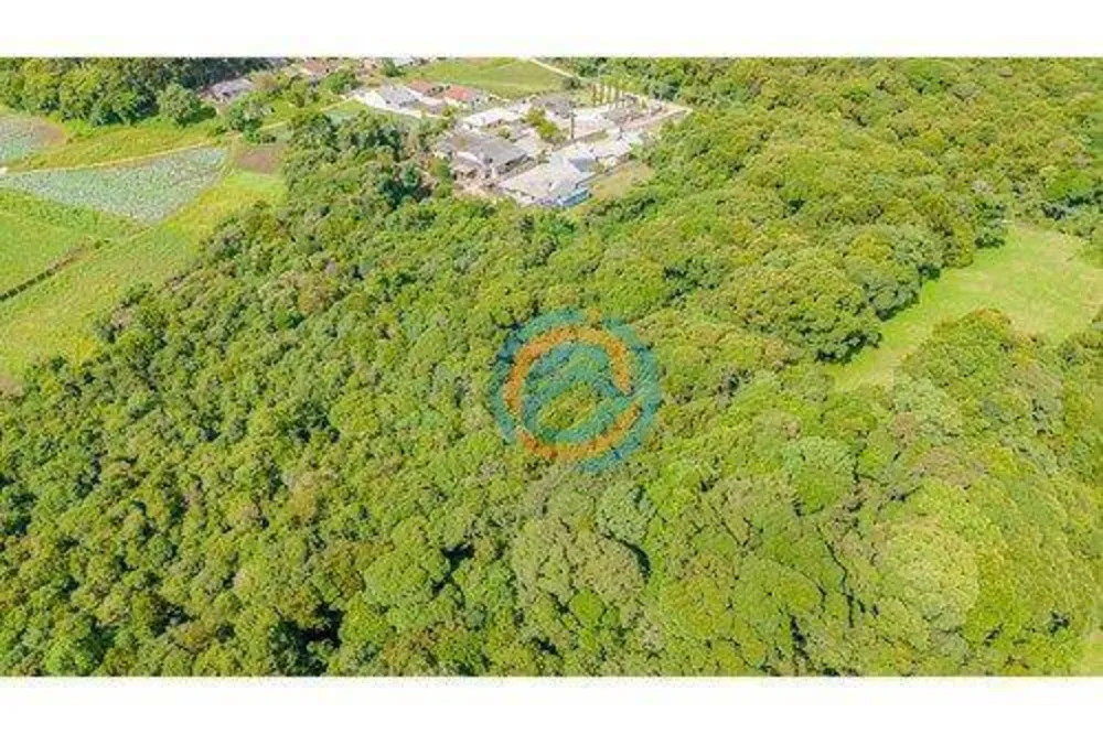 Terreno, 5 hectares - Foto 7