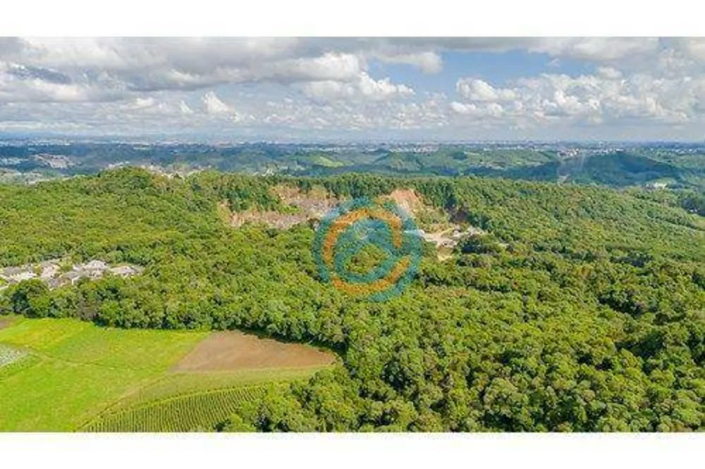 Terreno, 5 hectares - Foto 6