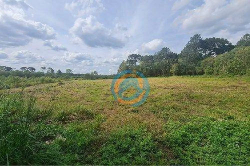 Sítio, 10 hectares - Foto 16
