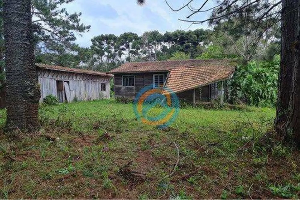 Chácara, 10 hectares - Foto 2