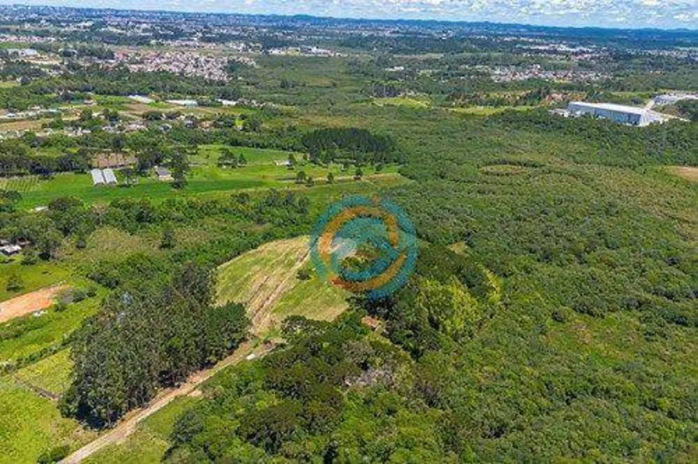 Chácara, 10 hectares - Foto 10