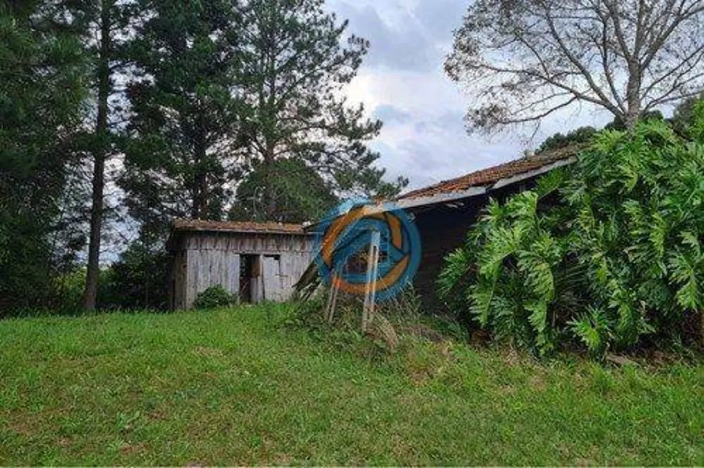 Chácara, 10 hectares - Foto 8