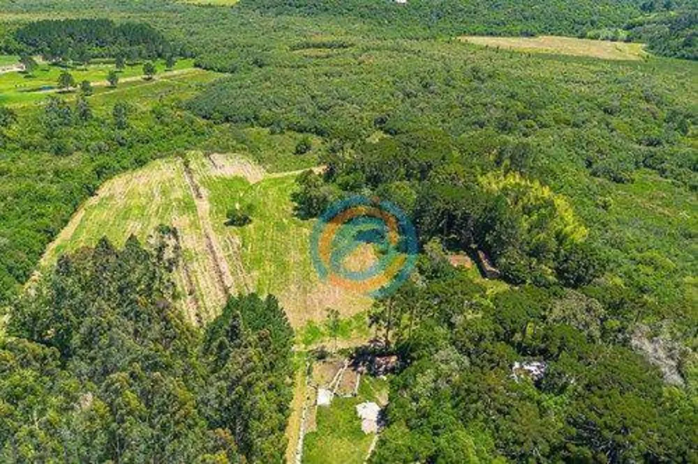 Sítio, 10 hectares - Foto 4