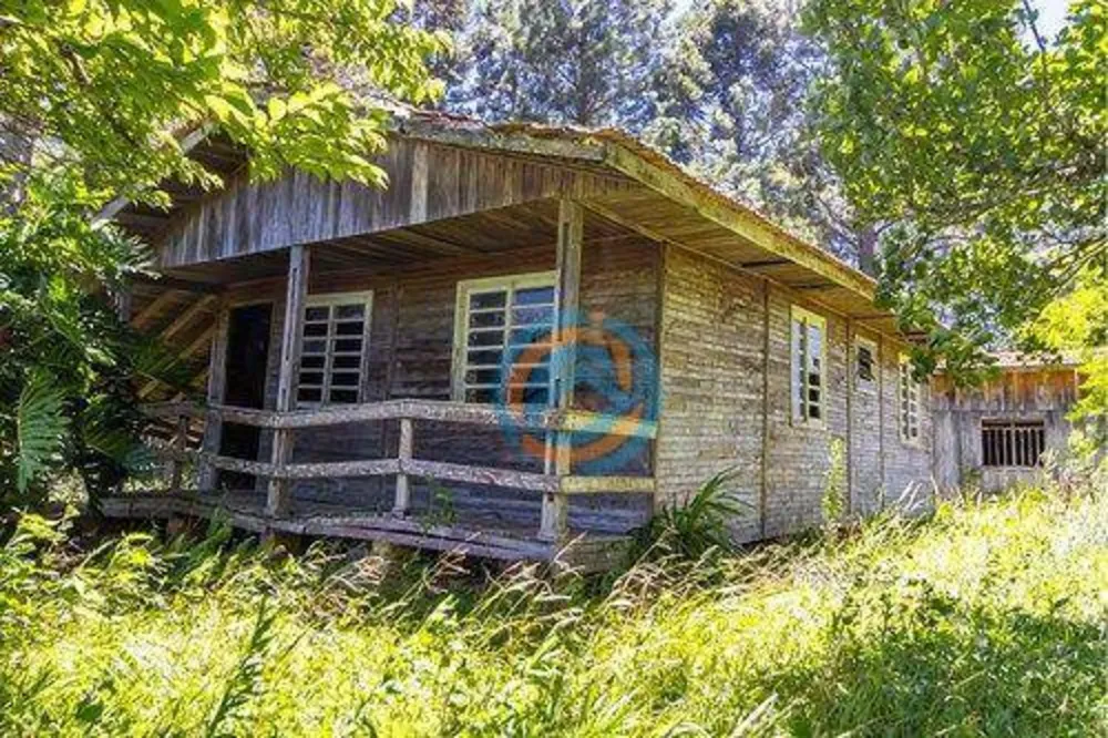 Chácara, 10 hectares - Foto 12