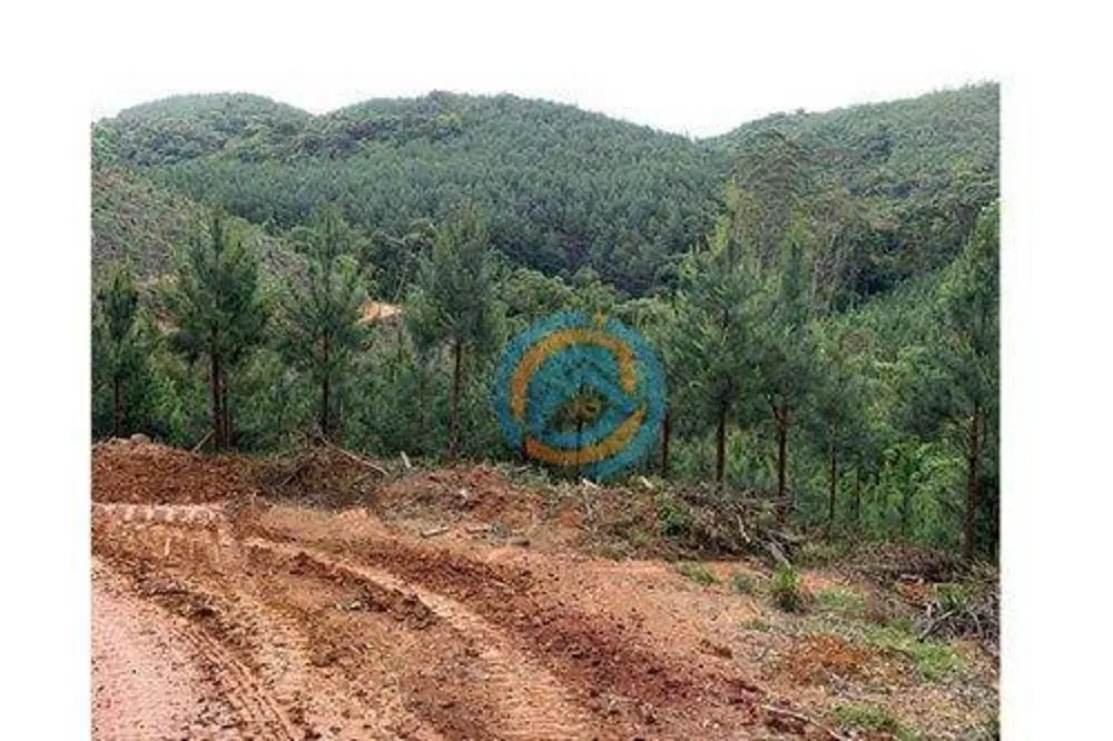 Terreno, 310 m² - Foto 4