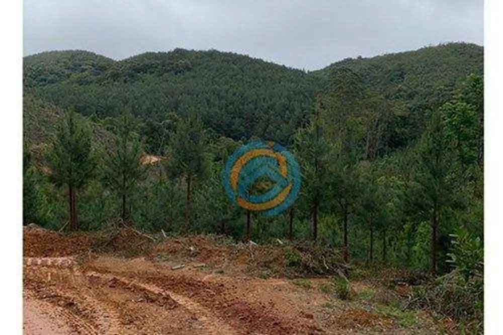 Terreno, 310 m² - Foto 5