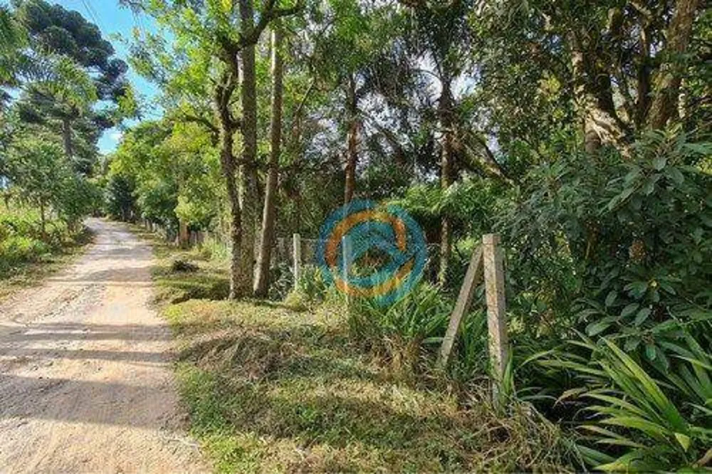 Depósito-Galpão - Foto 1