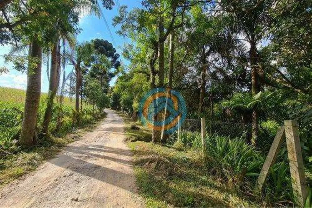 Depósito-Galpão - Foto 3