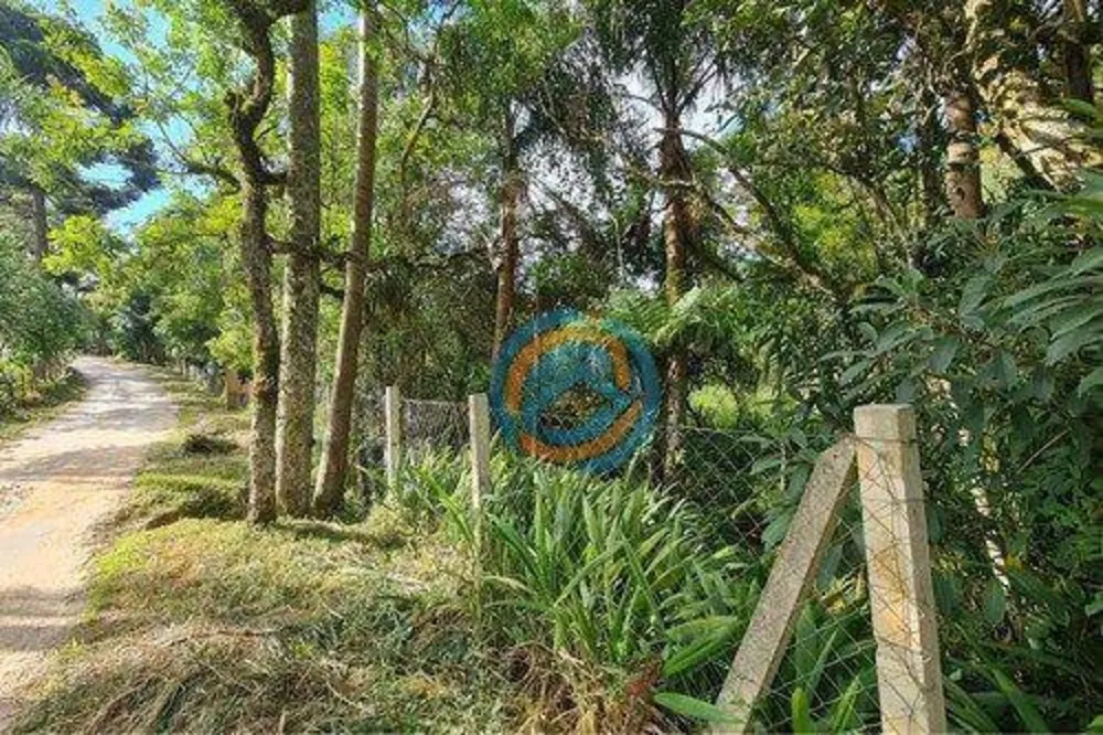 Depósito-Galpão - Foto 4