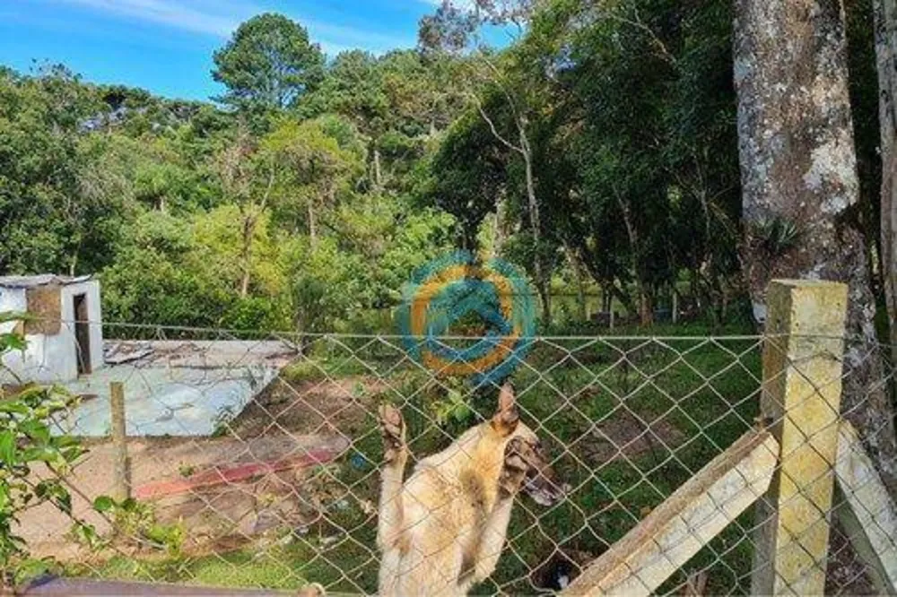 Depósito-Galpão - Foto 11