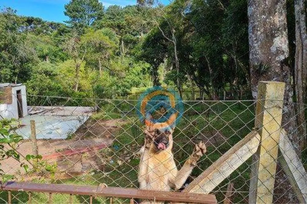 Depósito-Galpão - Foto 12