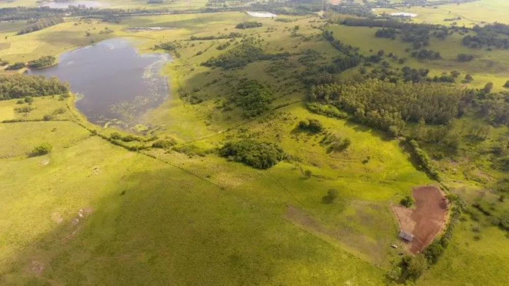 Fazenda à venda com 1 quarto, 30000m² - Foto 4