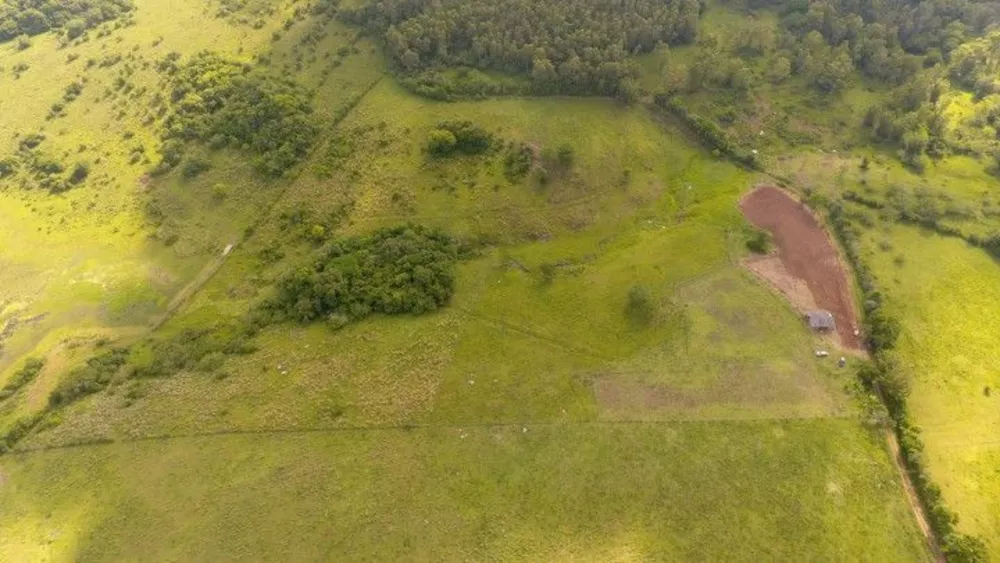 Fazenda à venda com 1 quarto, 30000m² - Foto 3