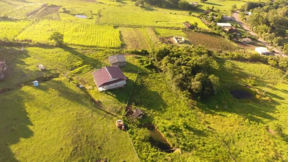 Fazenda à venda com 3 quartos, 100000m² - Foto 4