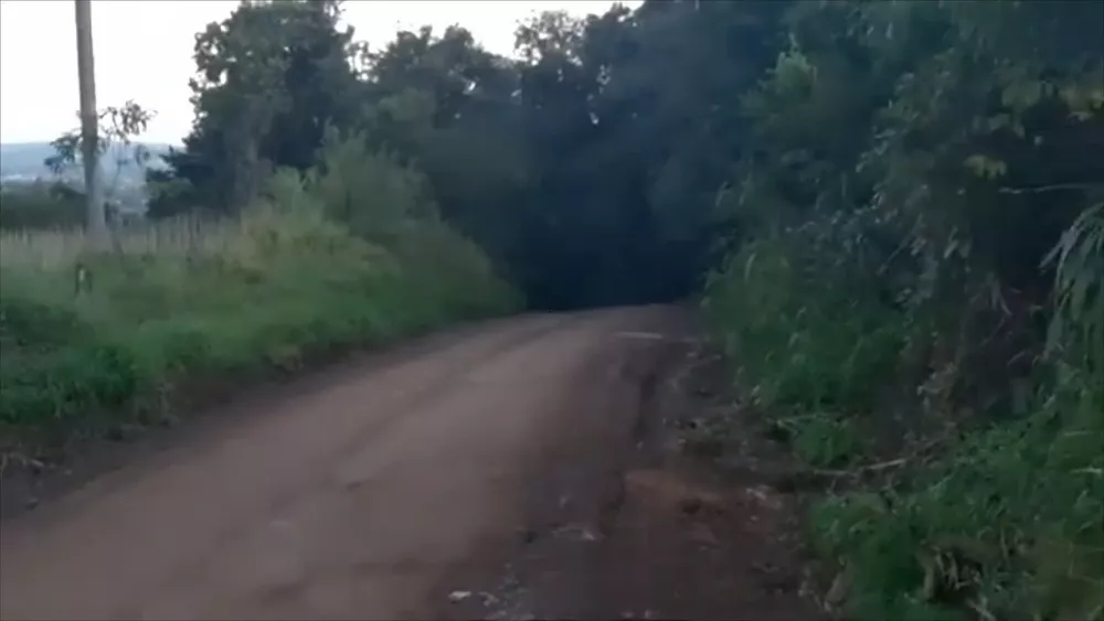 Fazenda à venda com 3 quartos, 2000m² - Foto 2