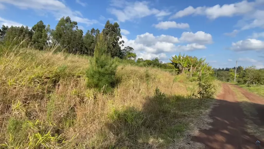 Fazenda à venda, 140000m² - Foto 4