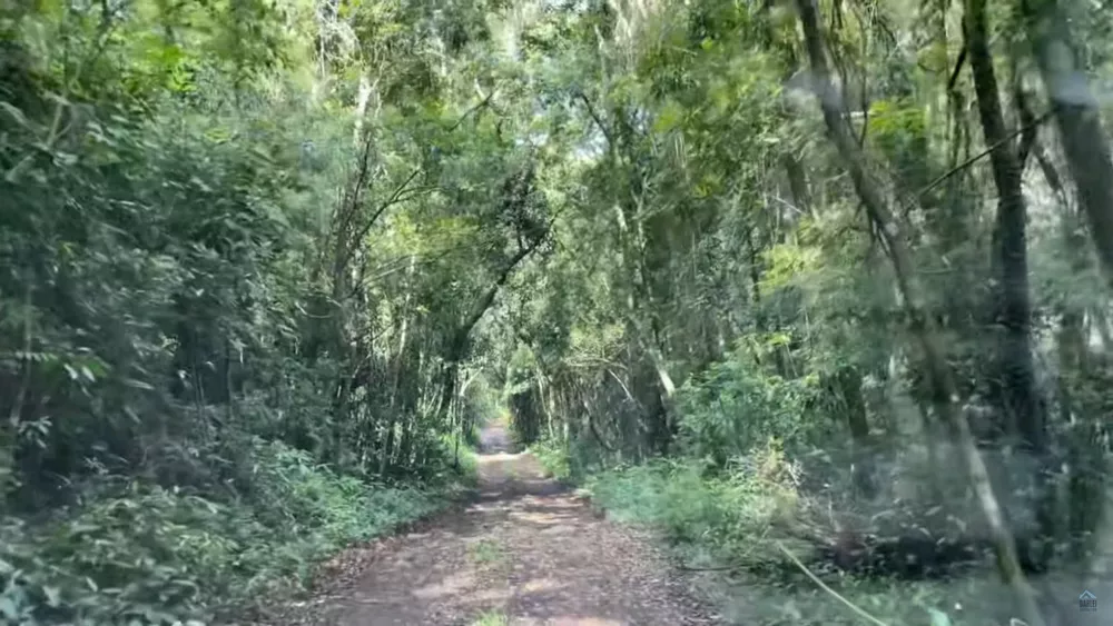 Fazenda à venda, 140000m² - Foto 3