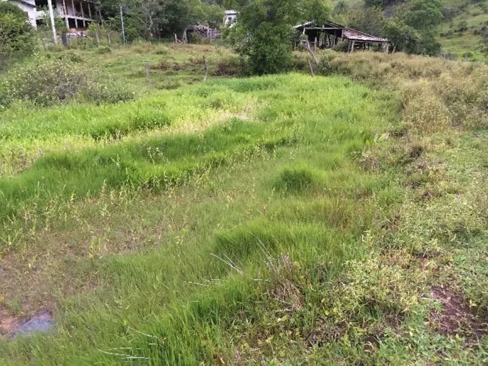 Fazenda à venda com 1 quarto, 54000m² - Foto 4